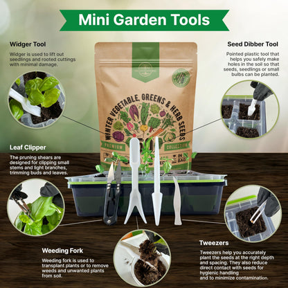 Organo Republic 25 Winter Vegetable & Green Seeds Variety Pack for Outdoors & Indoor Home Gardening 27670+ Non-GMO Heirloom Seeds: Broccoli Beet Carrot Collard Lettuce Radish Spinach Pea Kohlrabi