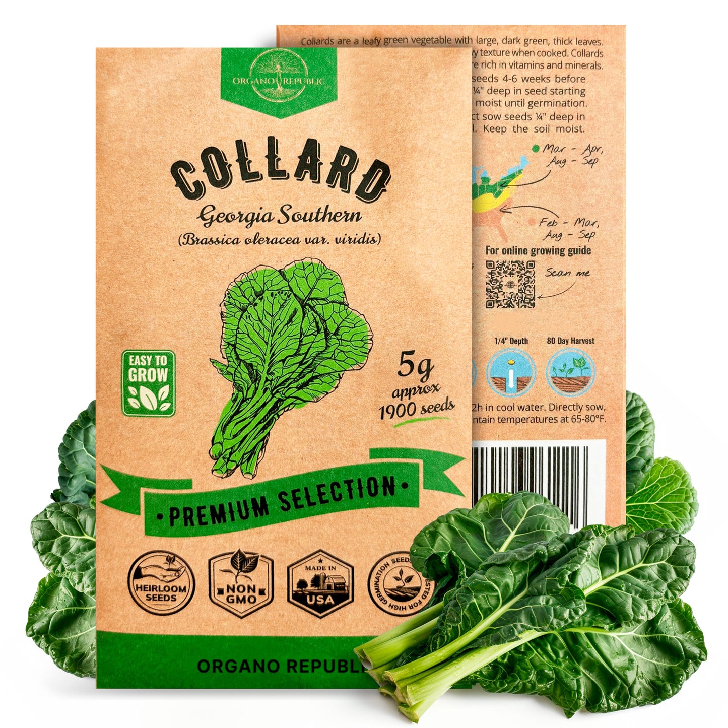 Onion Walla Walla Seeds Pack 1G - Over 275 Non-GMO Heirloom Onion Seeds for Planting Vegetables in Individual Seed Packet, Vegetable Seeds for Planting Home Garden Indoor & Outdoor Gardening