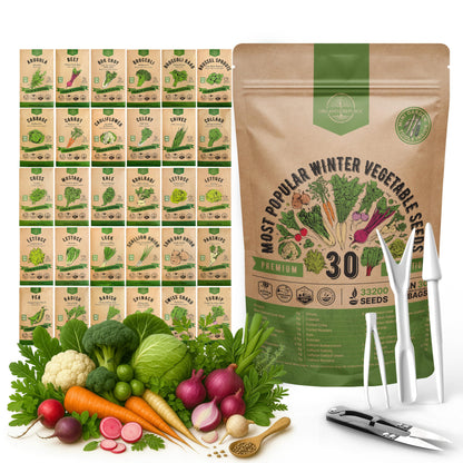 Organo Republic 25 Winter Vegetable & Green Seeds Variety Pack for Outdoors & Indoor Home Gardening 27670+ Non-GMO Heirloom Seeds: Broccoli Beet Carrot Collard Lettuce Radish Spinach Pea Kohlrabi