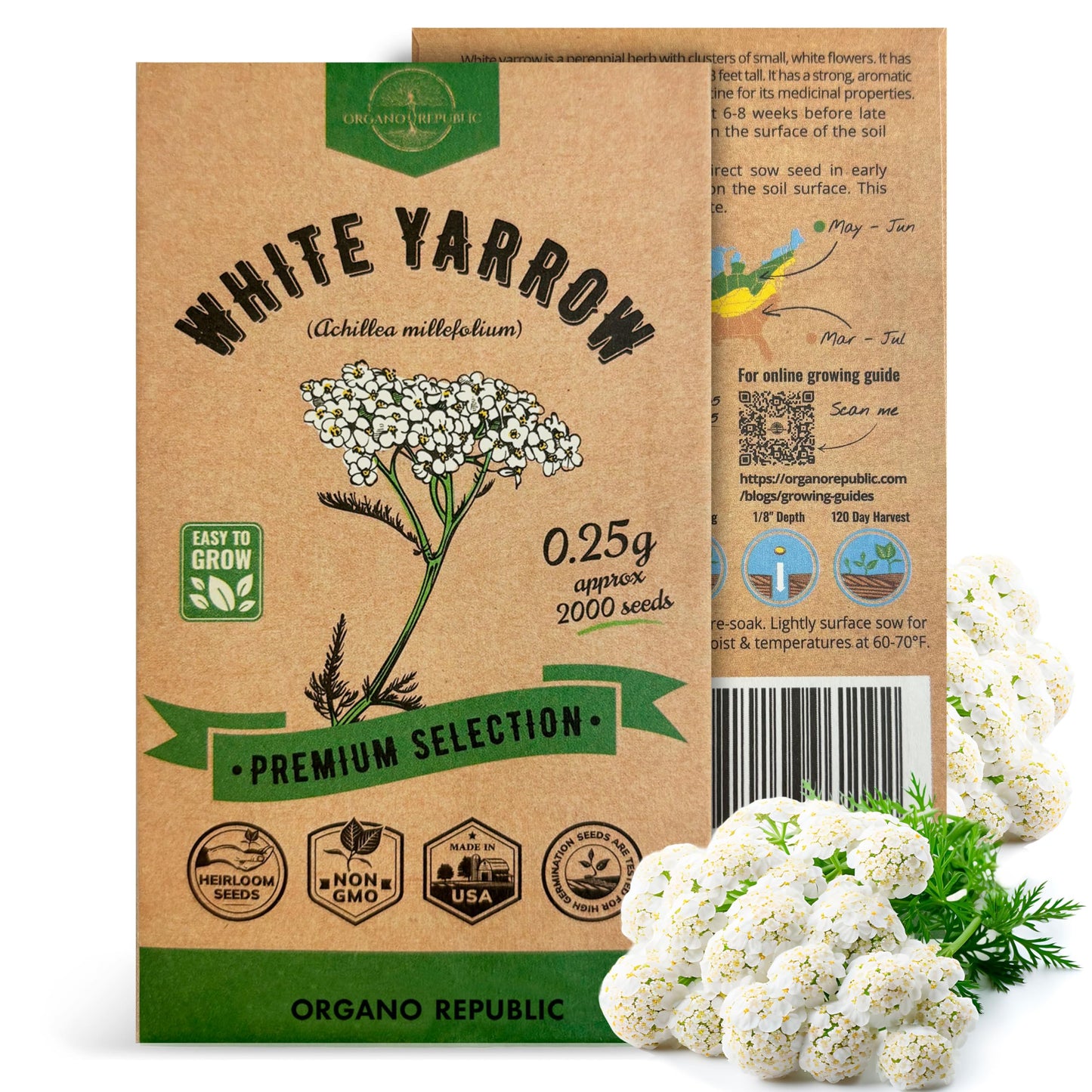 White Yarrow Seeds Pack 0.25 G - Over 2000 Non-GMO Heirloom Yarrow Seeds for Planting Herbs in Individual Seed Packet, Herbs Seeds for Planting Home Garden Indoor & Outdoor Gardening