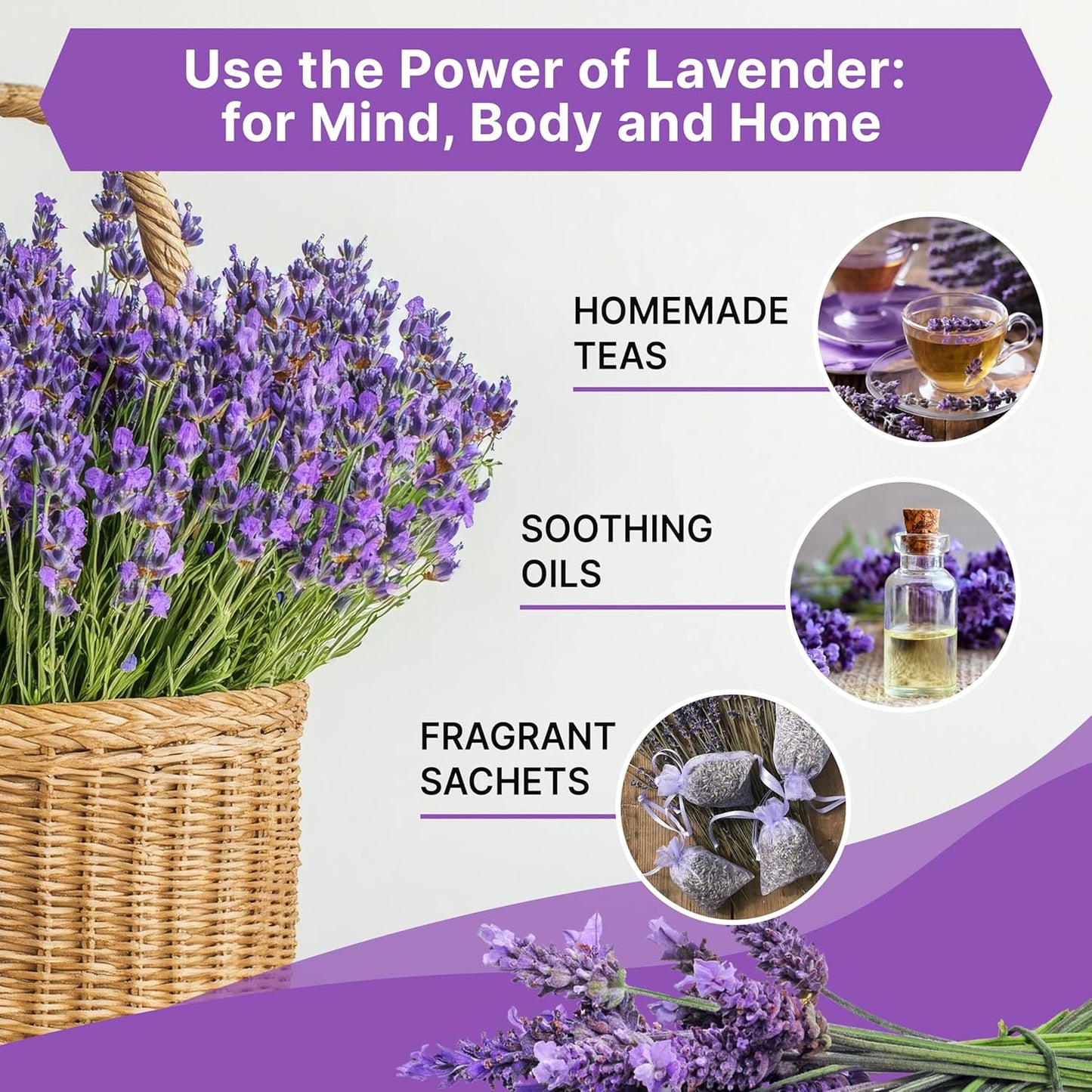 Organo Republic 3-Pack English Lavender Seeds 7.50G - Over 6600 Non-GMO Heirloom Lavender Seeds for Planting in Individual Seed Packets, Herb Seeds for Planting Home Garden Indoor & Outdoor Gardening
