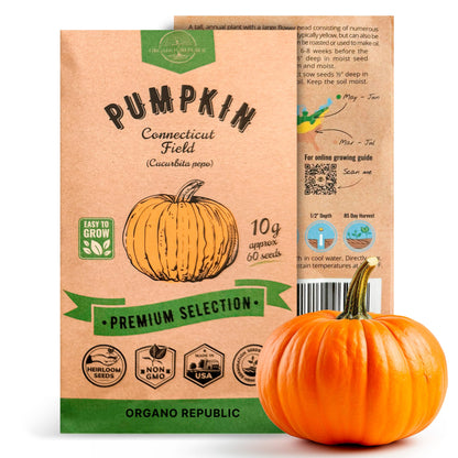 Onion Walla Walla Seeds Pack 1G - Over 275 Non-GMO Heirloom Onion Seeds for Planting Vegetables in Individual Seed Packet, Vegetable Seeds for Planting Home Garden Indoor & Outdoor Gardening