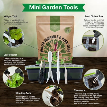 Organo Republic 25 Winter Vegetable & Green Seeds Variety Pack for Outdoors & Indoor Home Gardening 27670+ Non-GMO Heirloom Seeds: Broccoli Beet Carrot Collard Lettuce Radish Spinach Pea Kohlrabi