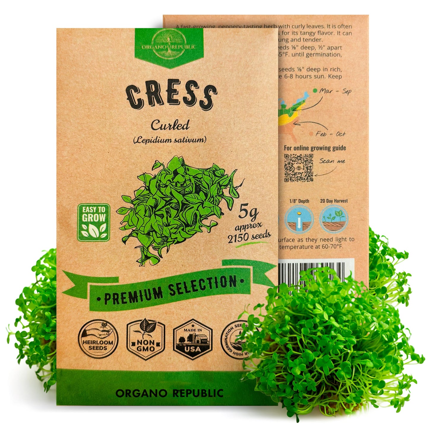 Onion Walla Walla Seeds Pack 1G - Over 275 Non-GMO Heirloom Onion Seeds for Planting Vegetables in Individual Seed Packet, Vegetable Seeds for Planting Home Garden Indoor & Outdoor Gardening