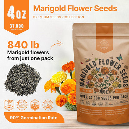 Marigold Seeds Pack 1 oz - Over 9,250 Non-GMO Heirloom Marigold Seeds for Planting Indoor & Outdoor Gardening, Flower Seed for Planting Home and Garden, Flowers Seed in Individual Packet