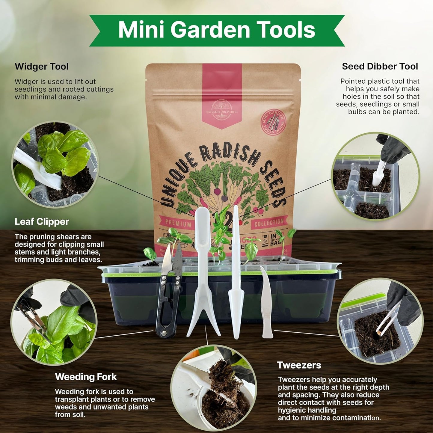 Organo Republic 8 Onion Seeds Variety Pack Heirloom, Non-GMO, Sets for Indoors, Outdoors Gardening. 2200+ Seeds: Walla Walla, Green Onion, Red Burgundy, White & Yellow Sweet Spanish Onions