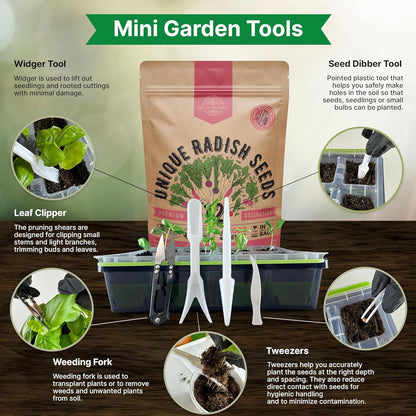 Organo Republic 8 Onion Seeds Variety Pack Heirloom, Non-GMO, Sets for Indoors, Outdoors Gardening. 2200+ Seeds: Walla Walla, Green Onion, Red Burgundy, White & Yellow Sweet Spanish Onions