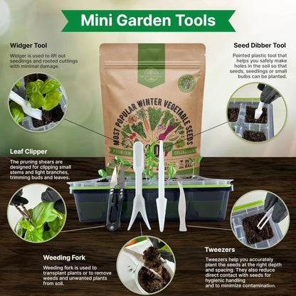 Organo Republic 25 Winter Vegetable & Green Seeds Variety Pack for Outdoors & Indoor Home Gardening 27670+ Non-GMO Heirloom Seeds: Broccoli Beet Carrot Collard Lettuce Radish Spinach Pea Kohlrabi