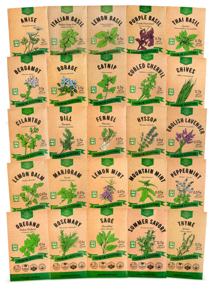 25 Most Popular Herb Seeds Variety Pack - 11,700 Non-GMO Heirloom Seeds for Planting Herbs in Individual Seed Packets for Hydroponic, Indoor & Outdoor Gardening