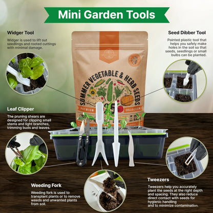 Organo Republic 25 Winter Vegetable & Green Seeds Variety Pack for Outdoors & Indoor Home Gardening 27670+ Non-GMO Heirloom Seeds: Broccoli Beet Carrot Collard Lettuce Radish Spinach Pea Kohlrabi