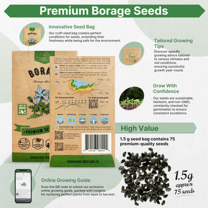 White Yarrow Seeds Pack 0.25 G - Over 2000 Non-GMO Heirloom Yarrow Seeds for Planting Herbs in Individual Seed Packet, Herbs Seeds for Planting Home Garden Indoor & Outdoor Gardening