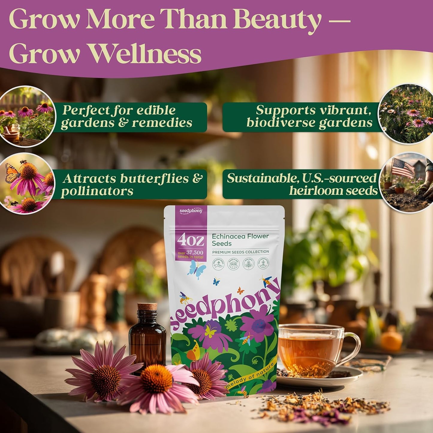 Echinacea Seed Pack 1 oz - 9,300 Non-GMO Heirloom Echinacea Seeds for Planting, Perennial Flowers in Waterproof Seed Packet, Coneflower Seeds for Planting Garden Indoor & Outdoor Gardening