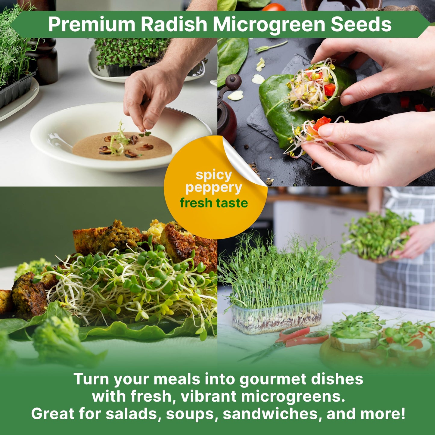 Organo Republic Broccoli Sprouting & Microgreens Seeds - Non-GMO, Heirloom Sprout Seeds Kit, 1lb Resealable Bag for & Growing Microgreens in Soil, Coconut Coir, Aerogarden & Hydroponic