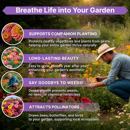 Marigold Seeds Pack 1 oz - Over 9,250 Non-GMO Heirloom Marigold Seeds for Planting Indoor & Outdoor Gardening, Flower Seed for Planting Home and Garden, Flowers Seed in Individual Packet