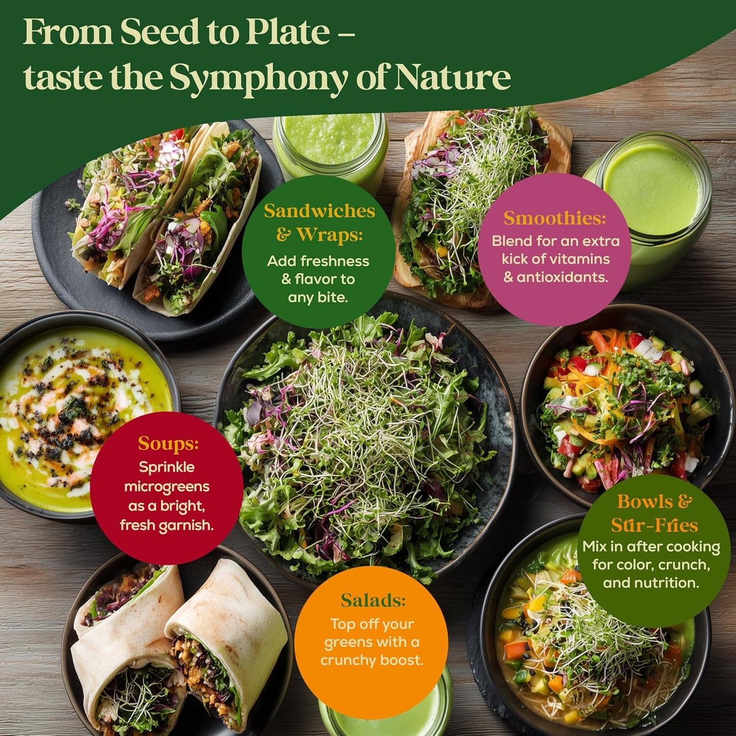 Broccoli Sprouting & Microgreens Seeds - 130,000 Non-GMO Heirloom Seed, 1lb Resealable Bag - High-Germination Broccoli Seeds for Sprouting in Jars, Soil, Hydroponics & Microgreen Trays