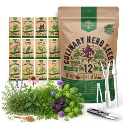 25 Most Popular Herb Seeds Variety Pack - 11,700 Non-GMO Heirloom Seeds for Planting Herbs in Individual Seed Packets for Hydroponic, Indoor & Outdoor Gardening