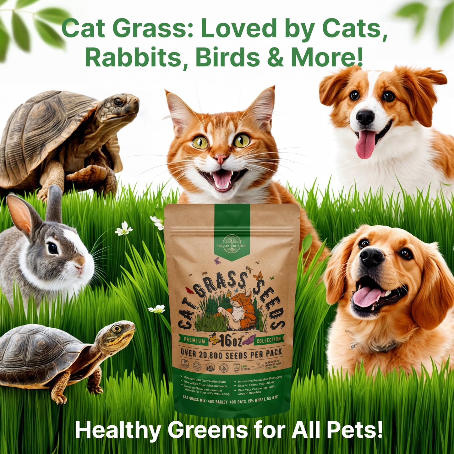 Organo Republic Cat Grass Seeds Mix - 20,800 Non-GMO Heirloom Seeds for Cats & Pets, 16 oz Pack for Growing Fresh Barley, Oat, Rye & Wheat Grass Seeds for Planting, Indoor Plants, Hairball Remedy