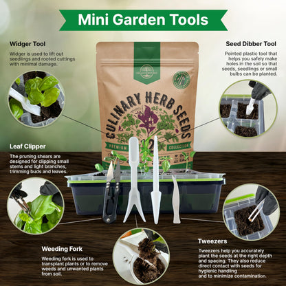 25 Most Popular Herb Seeds Variety Pack - 11,700 Non-GMO Heirloom Seeds for Planting Herbs in Individual Seed Packets for Hydroponic, Indoor & Outdoor Gardening