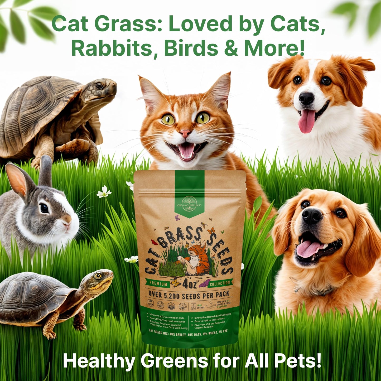 Organo Republic Cat Grass Seeds Mix - 20,800 Non-GMO Heirloom Seeds for Cats & Pets, 16 oz Pack for Growing Fresh Barley, Oat, Rye & Wheat Grass Seeds for Planting, Indoor Plants, Hairball Remedy