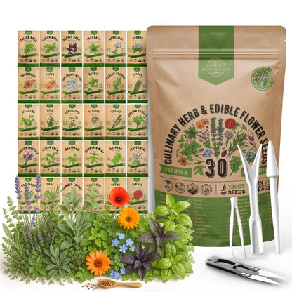25 Most Popular Herb Seeds Variety Pack - 11,700 Non-GMO Heirloom Seeds for Planting Herbs in Individual Seed Packets for Hydroponic, Indoor & Outdoor Gardening