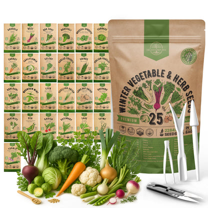 Organo Republic 25 Winter Vegetable & Green Seeds Variety Pack for Outdoors & Indoor Home Gardening 27670+ Non-GMO Heirloom Seeds: Broccoli Beet Carrot Collard Lettuce Radish Spinach Pea Kohlrabi
