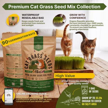 Organo Republic Cat Grass Seeds Mix - 20,800 Non-GMO Heirloom Seeds for Cats & Pets, 16 oz Pack for Growing Fresh Barley, Oat, Rye & Wheat Grass Seeds for Planting, Indoor Plants, Hairball Remedy