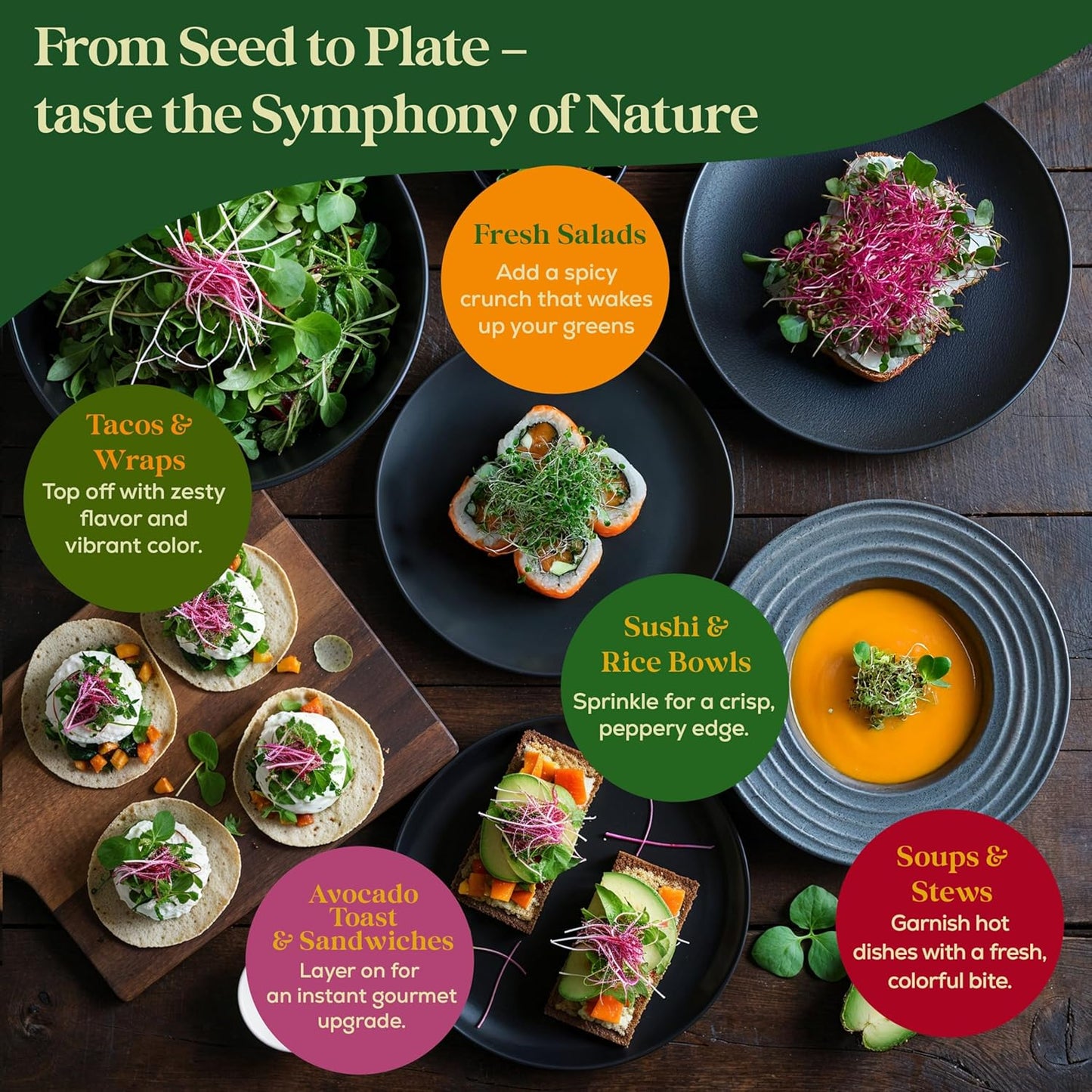 Broccoli Sprouting & Microgreens Seeds - 130,000 Non-GMO Heirloom Seed, 1lb Resealable Bag - High-Germination Broccoli Seeds for Sprouting in Jars, Soil, Hydroponics & Microgreen Trays