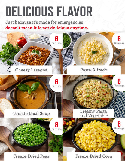 ReadyWise Emergency Food Supply - 120 Servings Favorites Sample Bucket, Survival Food Kit, Freeze Dried Prepper Food & Dehydrated Meals for Camping Essentials & Backpacking, up to 25 Year Shelf Life