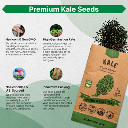 Onion Walla Walla Seeds Pack 1G - Over 275 Non-GMO Heirloom Onion Seeds for Planting Vegetables in Individual Seed Packet, Vegetable Seeds for Planting Home Garden Indoor & Outdoor Gardening