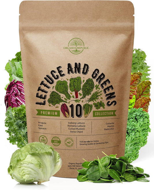 Organo Republic 10 Lettuce & Salad Greens Seeds Variety Pack 4800+ Non-GMO Heirloom Lettuce Seeds for Planting Indoors & Outdoors Garden, Hydroponics - Arugula, Radicchio, Kale, Spinach, Swiss Chard