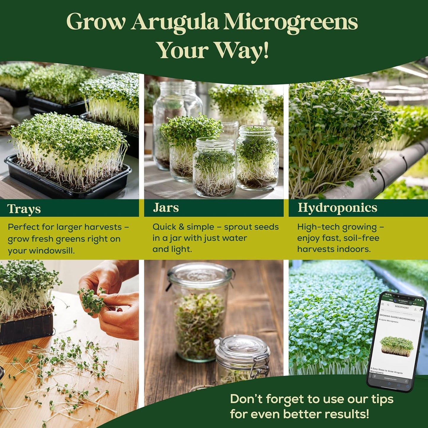 Broccoli Sprouting & Microgreens Seeds - 130,000 Non-GMO Heirloom Seed, 1lb Resealable Bag - High-Germination Broccoli Seeds for Sprouting in Jars, Soil, Hydroponics & Microgreen Trays