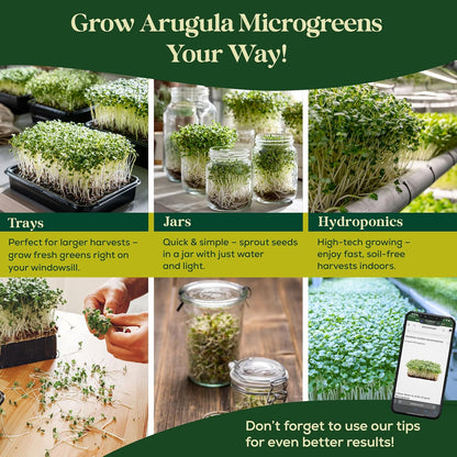 Broccoli Sprouting & Microgreens Seeds - 130,000 Non-GMO Heirloom Seed, 1lb Resealable Bag - High-Germination Broccoli Seeds for Sprouting in Jars, Soil, Hydroponics & Microgreen Trays