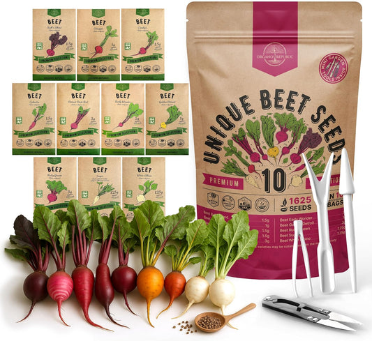 Organo Republic 8 Onion Seeds Variety Pack Heirloom, Non-GMO, Sets for Indoors, Outdoors Gardening. 2200+ Seeds: Walla Walla, Green Onion, Red Burgundy, White & Yellow Sweet Spanish Onions