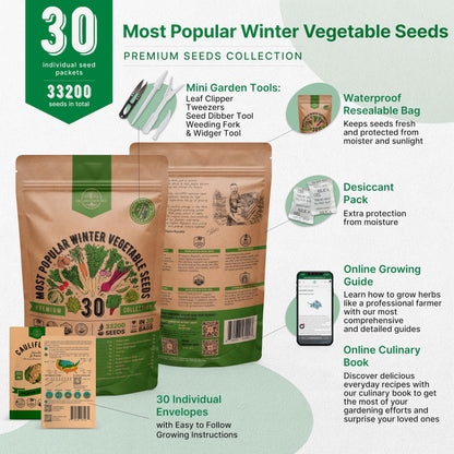 Organo Republic 25 Winter Vegetable & Green Seeds Variety Pack for Outdoors & Indoor Home Gardening 27670+ Non-GMO Heirloom Seeds: Broccoli Beet Carrot Collard Lettuce Radish Spinach Pea Kohlrabi