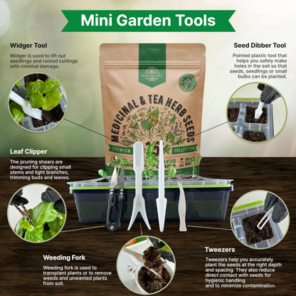 35 Medicinal & Tea Herb Seeds Variety Pack for Indoor & Outdoors. 16,335+ Non-GMO Heirloom Garden Seeds: Anise, Bergamot, Borage, Cilantro, Chamomile, Dandelion, Rosemary Seeds & More