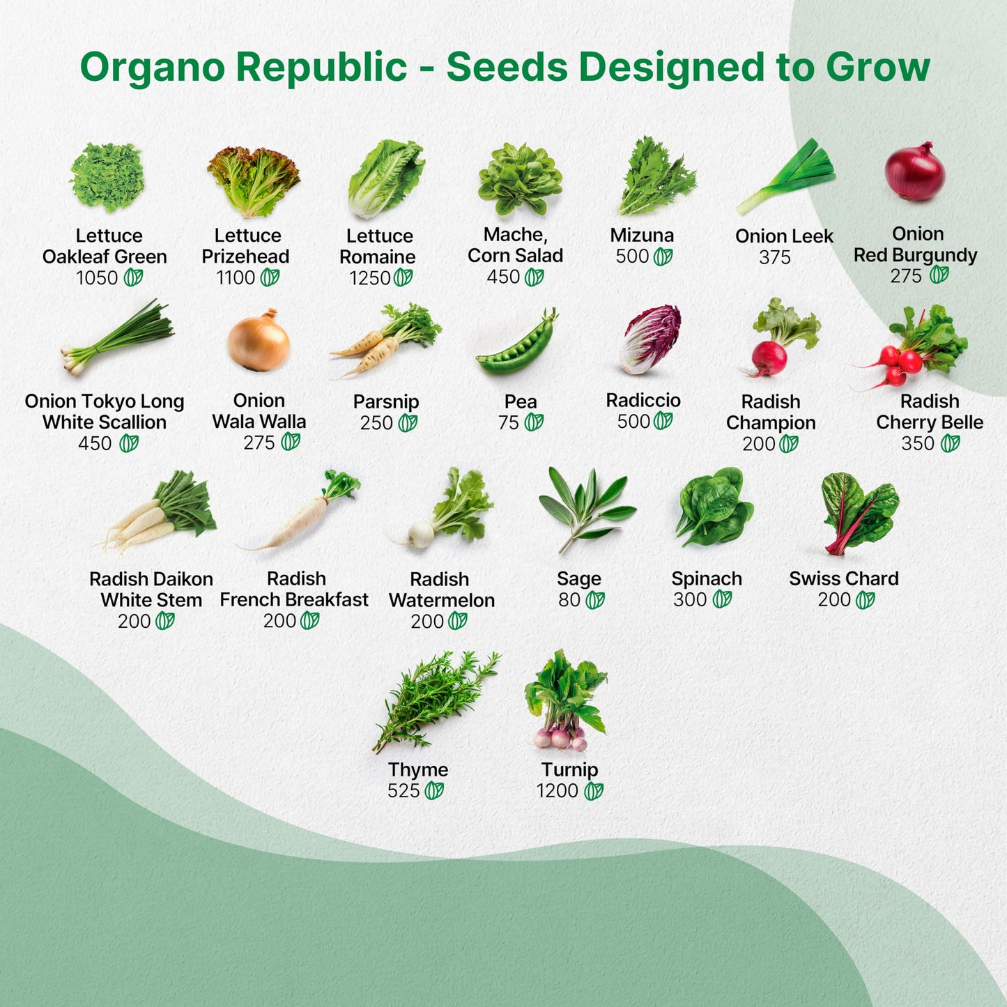 Organo Republic 25 Winter Vegetable & Green Seeds Variety Pack for Outdoors & Indoor Home Gardening 27670+ Non-GMO Heirloom Seeds: Broccoli Beet Carrot Collard Lettuce Radish Spinach Pea Kohlrabi