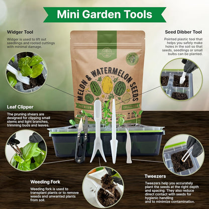 Organo Republic 7 Melon & Watermelon Seeds Variety Pack 480+ Non-GMO Heirloom Fruit Seeds for Planting Fruits in Individual Seed Packets, Home Garden Seeds for Hydroponic, Indoor & Outdoors Gardening