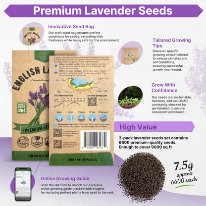English Lavender Seeds Pack 2.50G - Over 2200 Non-GMO Heirloom Lavender Seeds for Planting Herbs in Individual Seed Packet, Herbs Seeds for Planting Home Garden Indoor & Outdoor Gardening