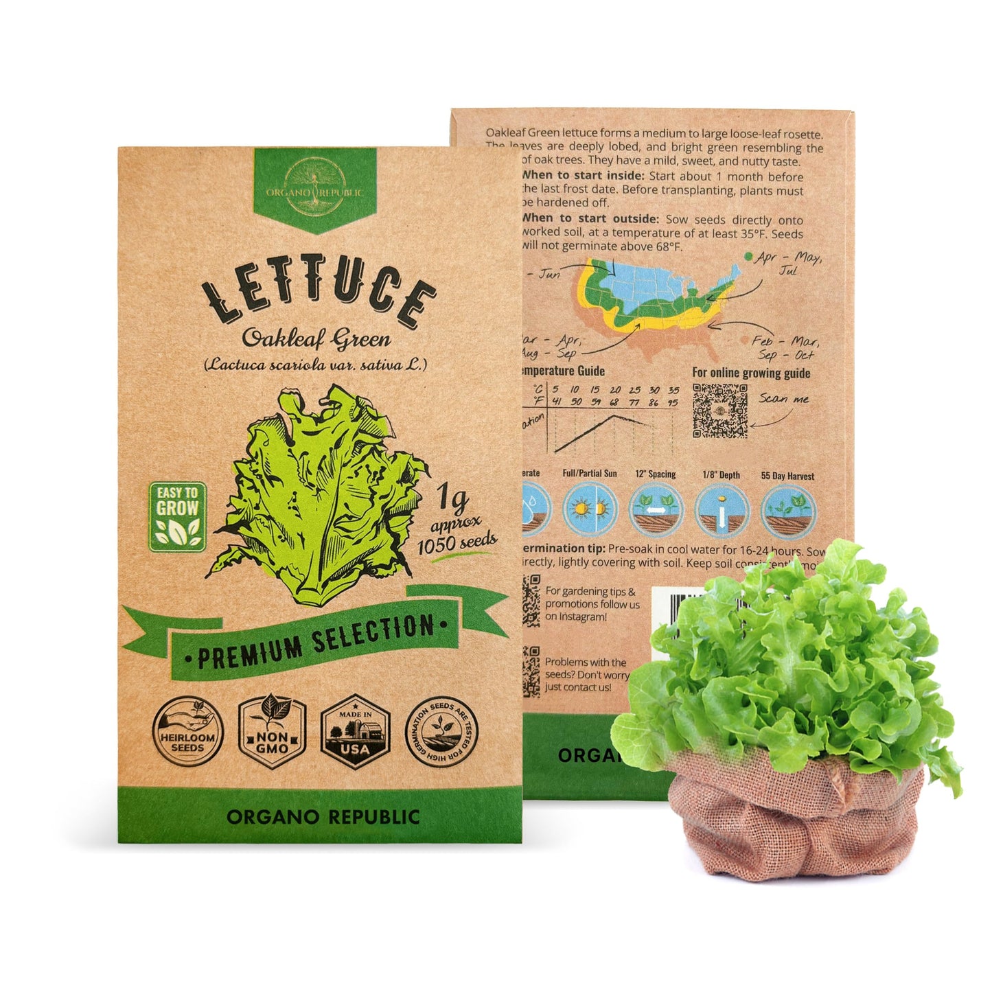 Onion Walla Walla Seeds Pack 1G - Over 275 Non-GMO Heirloom Onion Seeds for Planting Vegetables in Individual Seed Packet, Vegetable Seeds for Planting Home Garden Indoor & Outdoor Gardening