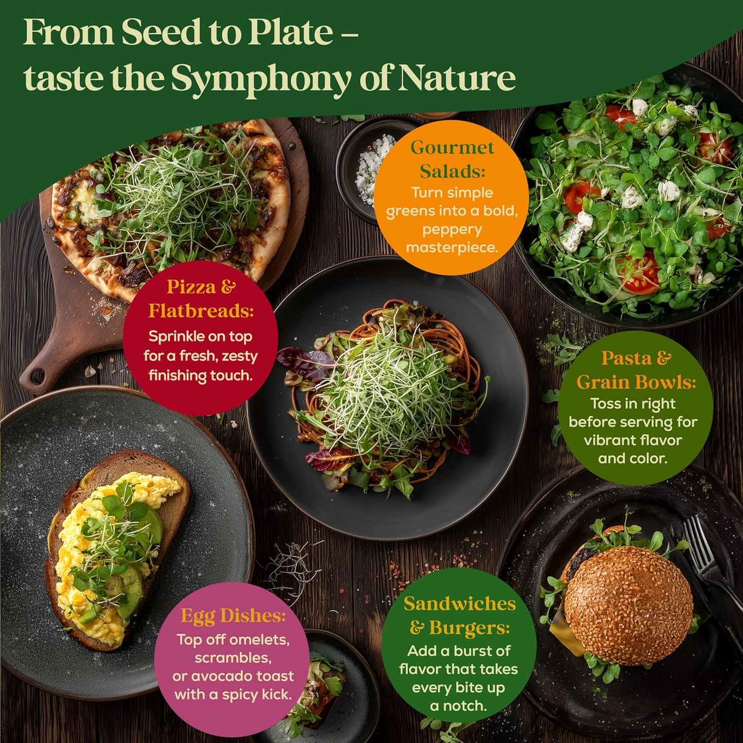 Broccoli Sprouting & Microgreens Seeds - 130,000 Non-GMO Heirloom Seed, 1lb Resealable Bag - High-Germination Broccoli Seeds for Sprouting in Jars, Soil, Hydroponics & Microgreen Trays