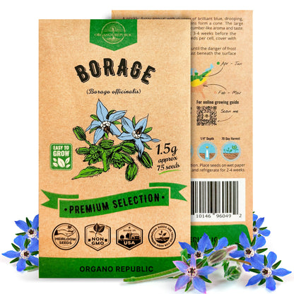 White Yarrow Seeds Pack 0.25 G - Over 2000 Non-GMO Heirloom Yarrow Seeds for Planting Herbs in Individual Seed Packet, Herbs Seeds for Planting Home Garden Indoor & Outdoor Gardening