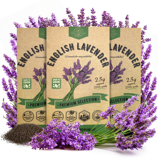 English Lavender Seeds Pack 2.50G - Over 2200 Non-GMO Heirloom Lavender Seeds for Planting Herbs in Individual Seed Packet, Herbs Seeds for Planting Home Garden Indoor & Outdoor Gardening