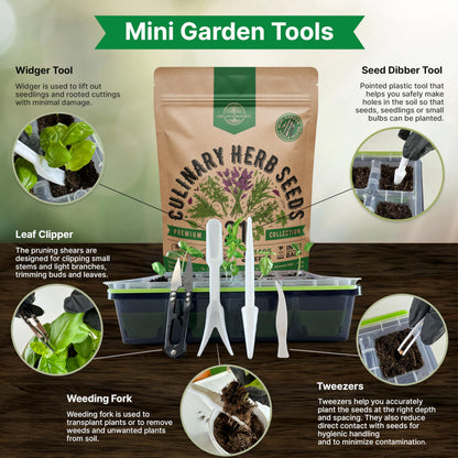 25 Most Popular Herb Seeds Variety Pack - 11,700 Non-GMO Heirloom Seeds for Planting Herbs in Individual Seed Packets for Hydroponic, Indoor & Outdoor Gardening