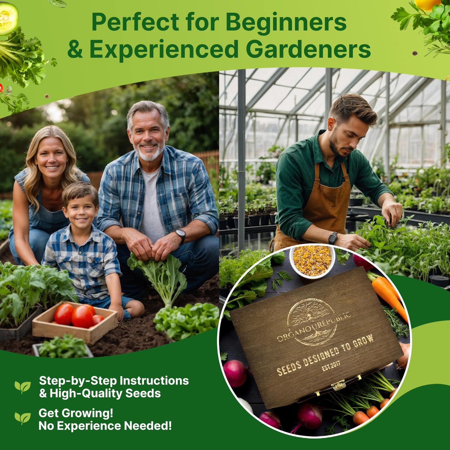 35 Medicinal & Tea Herb Seeds Variety Pack for Indoor & Outdoors. 16,335+ Non-GMO Heirloom Garden Seeds: Anise, Bergamot, Borage, Cilantro, Chamomile, Dandelion, Rosemary Seeds & More