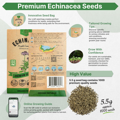 White Yarrow Seeds Pack 0.25 G - Over 2000 Non-GMO Heirloom Yarrow Seeds for Planting Herbs in Individual Seed Packet, Herbs Seeds for Planting Home Garden Indoor & Outdoor Gardening