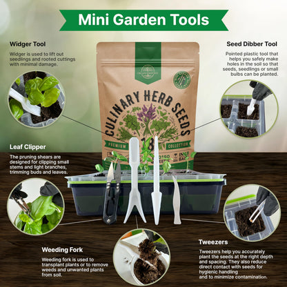 25 Most Popular Herb Seeds Variety Pack - 11,700 Non-GMO Heirloom Seeds for Planting Herbs in Individual Seed Packets for Hydroponic, Indoor & Outdoor Gardening