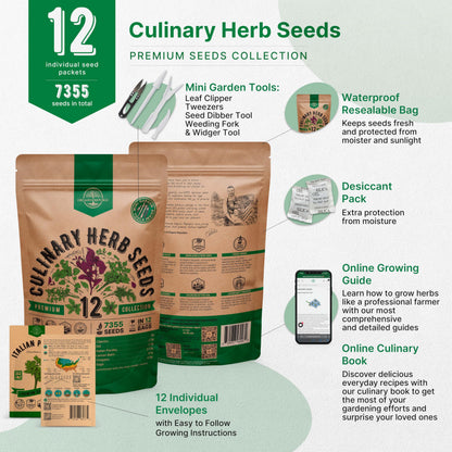 25 Most Popular Herb Seeds Variety Pack - 11,700 Non-GMO Heirloom Seeds for Planting Herbs in Individual Seed Packets for Hydroponic, Indoor & Outdoor Gardening
