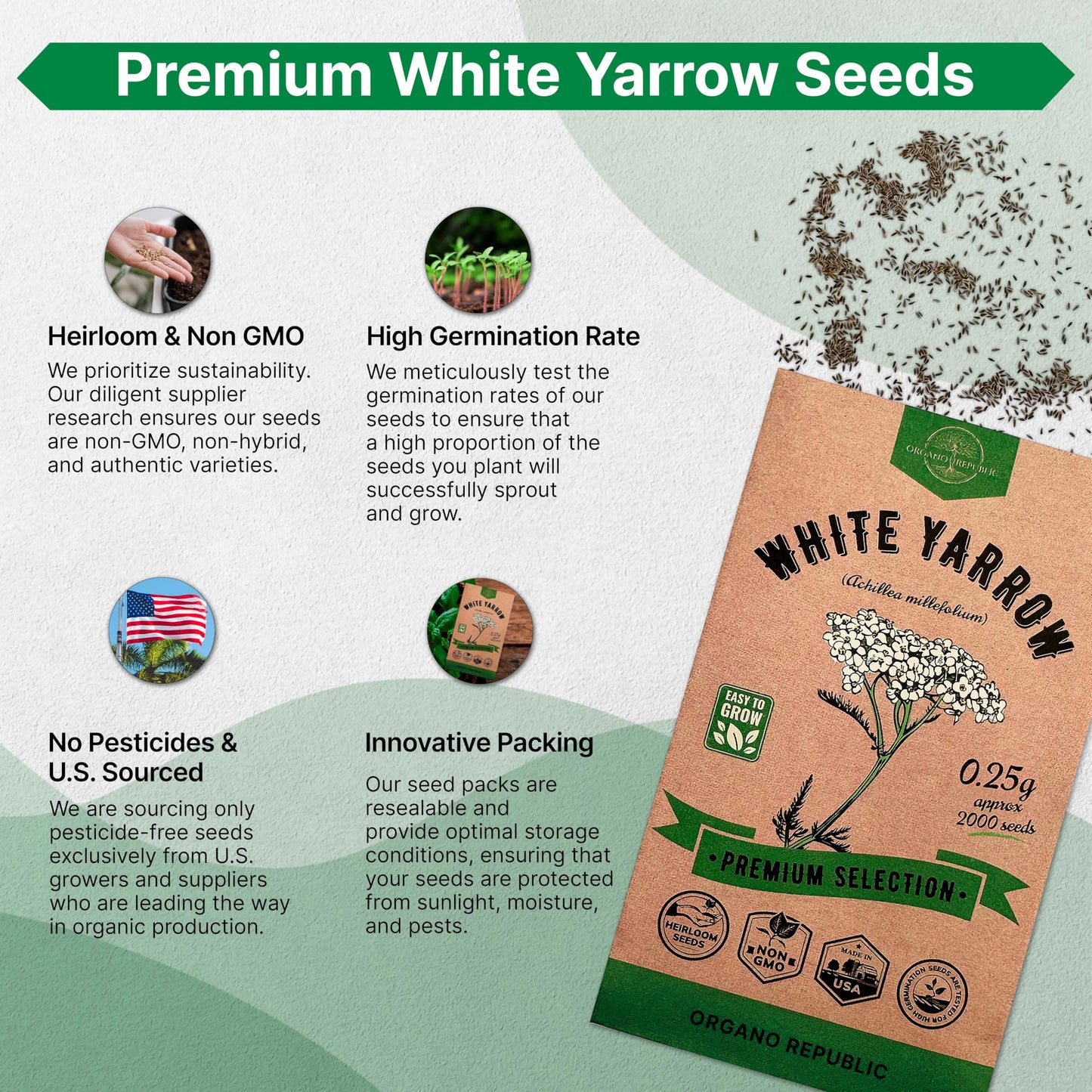 White Yarrow Seeds Pack 0.25 G - Over 2000 Non-GMO Heirloom Yarrow Seeds for Planting Herbs in Individual Seed Packet, Herbs Seeds for Planting Home Garden Indoor & Outdoor Gardening