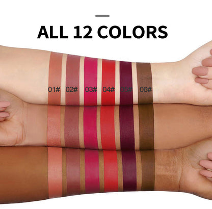 HANDAIYAN Popular Matte Matte Velvet 12 Colors Lip Gloss Liquid Lipstick Lip Glaze