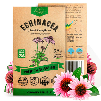 White Yarrow Seeds Pack 0.25 G - Over 2000 Non-GMO Heirloom Yarrow Seeds for Planting Herbs in Individual Seed Packet, Herbs Seeds for Planting Home Garden Indoor & Outdoor Gardening